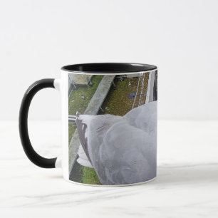 Seagull Picture Mug