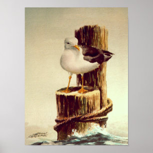 SEAGULL & PILINGS 2 by SHARON SHARPE Poster