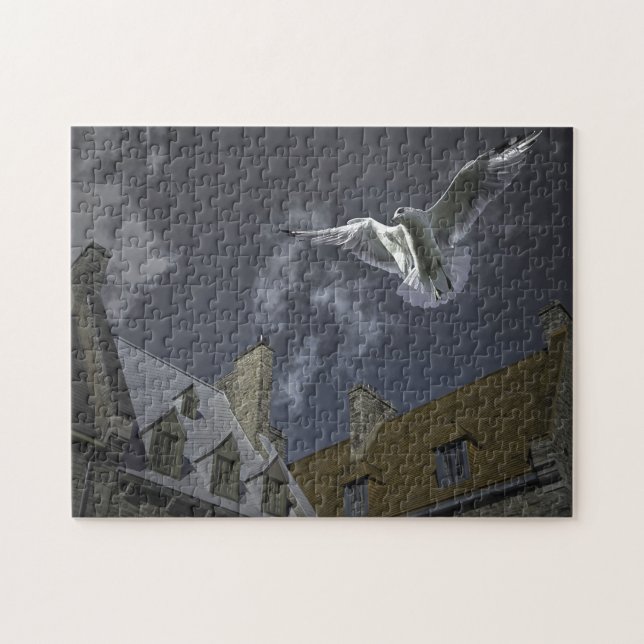 Seagull Place Royale Québec. Jigsaw Puzzle (Horizontal)