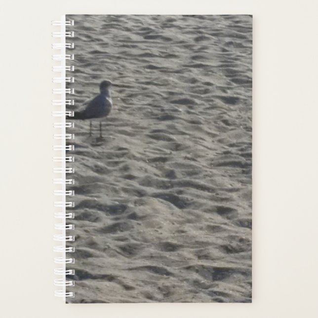 Seagull Planner (Front)