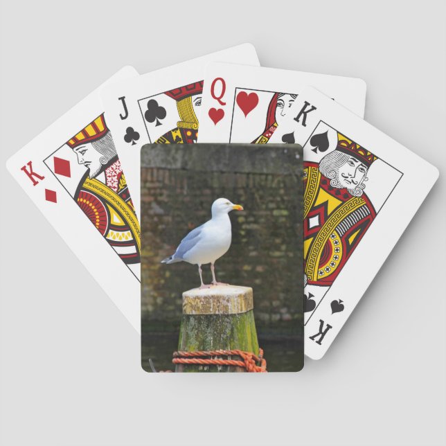 Seagull Playing Cards (Back)
