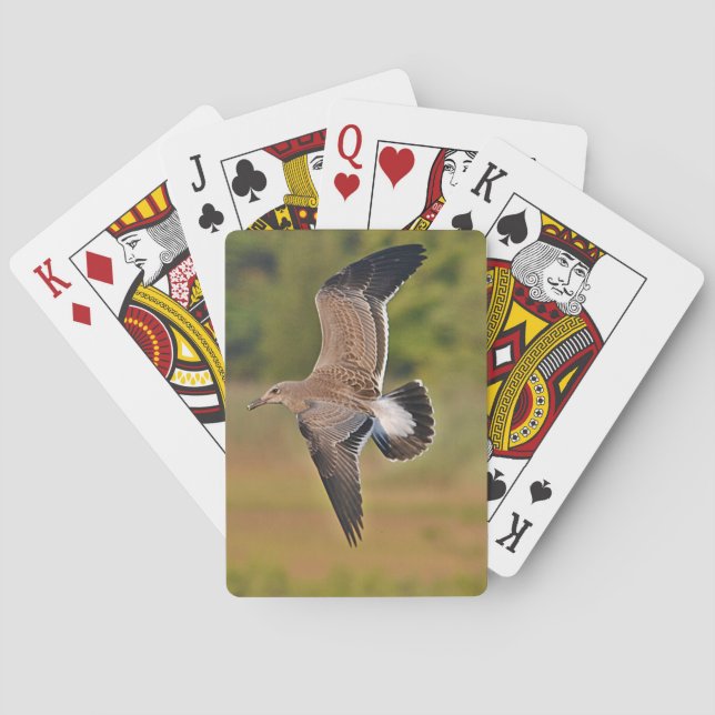 Seagull Playing Cards (Back)