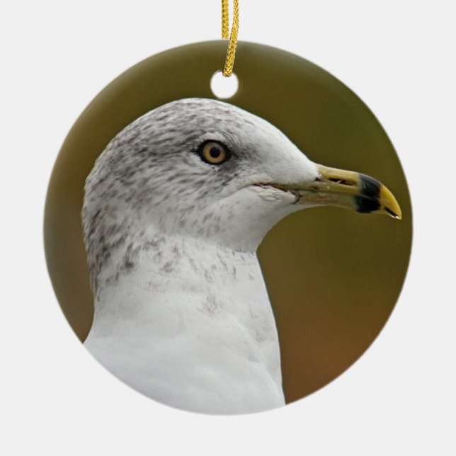 Seagull Portrait Photography With Bible Verse Ceramic Tree Decoration (Front)