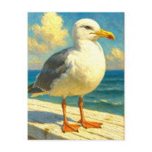 Seagull Postcard | Coastal Beach Bird Art