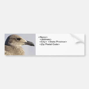 Seagull Profile Bumper Sticker