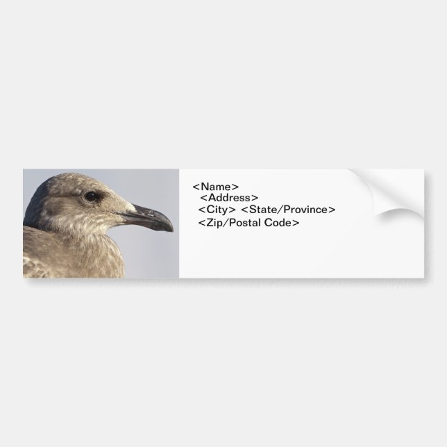 Seagull Profile Bumper Sticker (Front)