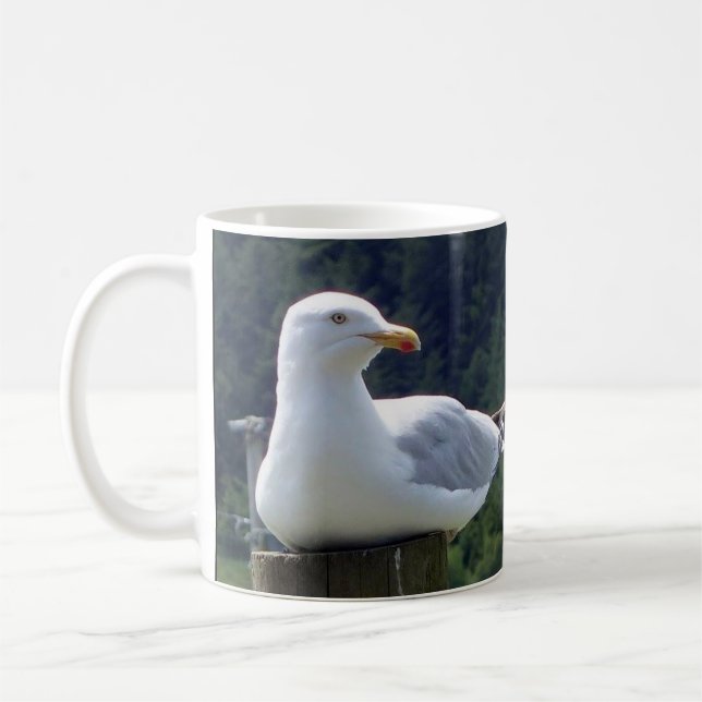 Seagull Resting On Fence Post Wildlife Bird Calm  Coffee Mug (Left)