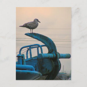 Seagull Rests On Anchor Of Ship Choshi Postcard