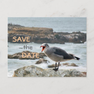 Seagull Save the Date Announcement Postcard