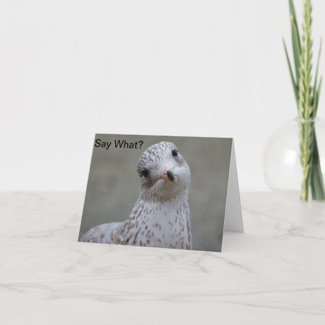 Seagull Say What? Note Card (Front)