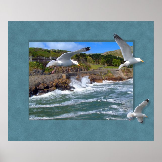 Seagull Scape Poster (Front)