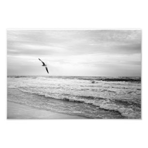 Seagull Soaring Over The Ocean Black and White Photo Print
