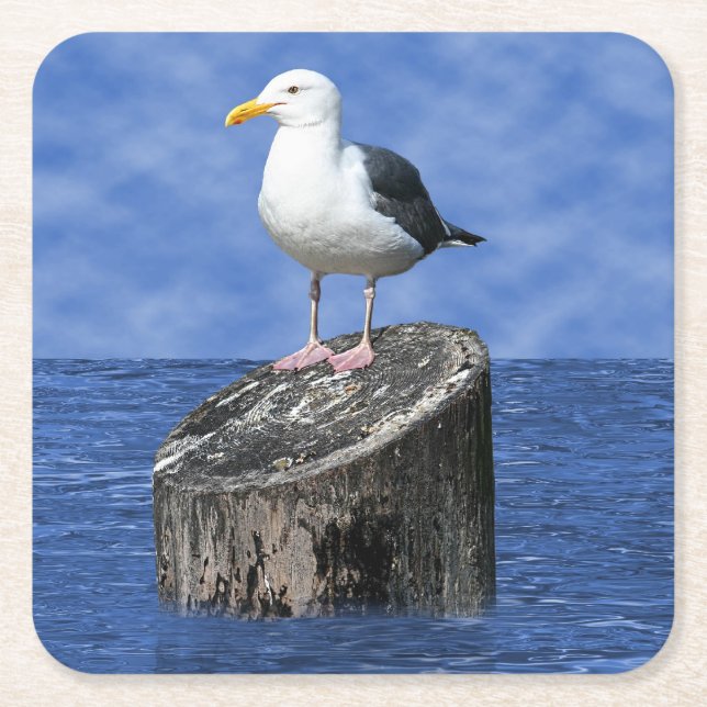 SEAGULL SQUARE PAPER COASTER (Front)