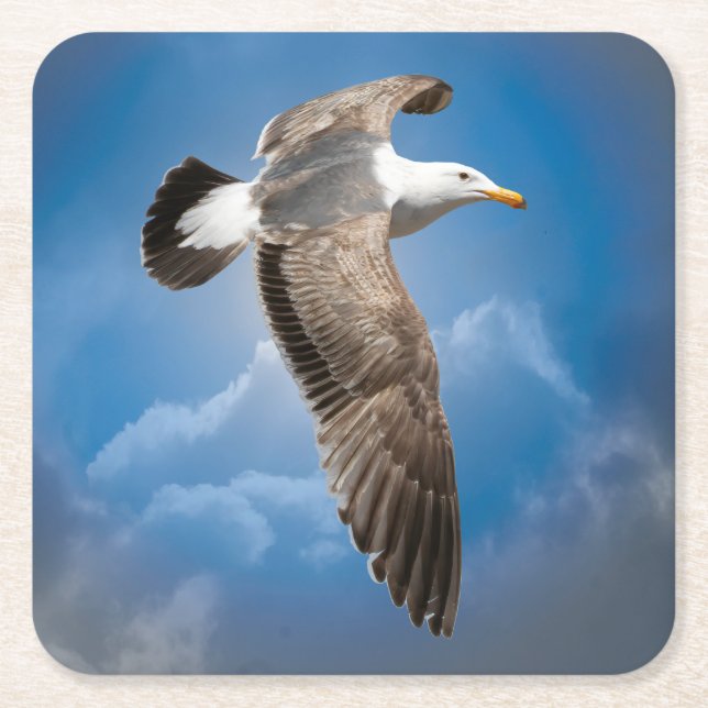 SEAGULL SQUARE PAPER COASTER (Front)