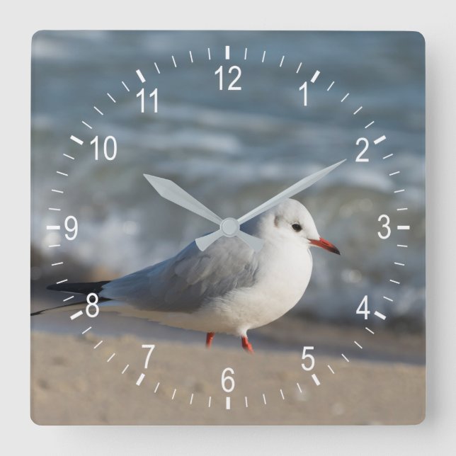 Seagull Square Wall Clock (Front)