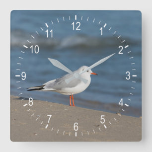 Seagull Square Wall Clock