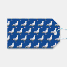 Seagull Standing Blue