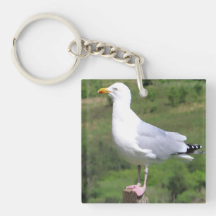 Seagull Standing Key Ring