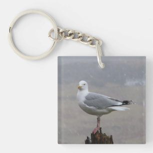 Seagull Standing  Key Ring