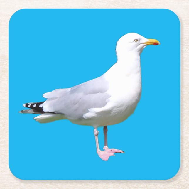 Seagull Standing Minimal Sky Blue Background Coast Square Paper Coaster (Front)