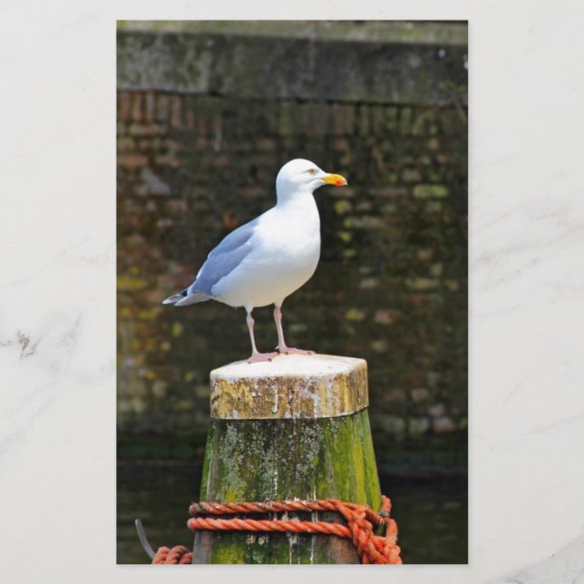 Seagull Stationery (Front)