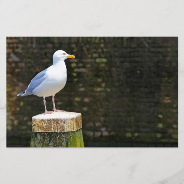 Seagull Stationery (Front)