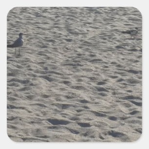 Seagull Stickers