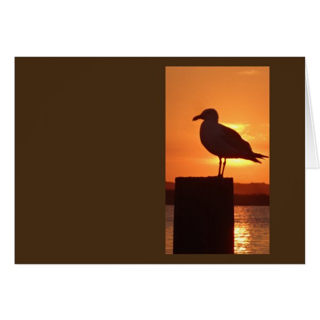 Seagull Sunset (Front Horizontal)