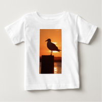 Seagull Sunset