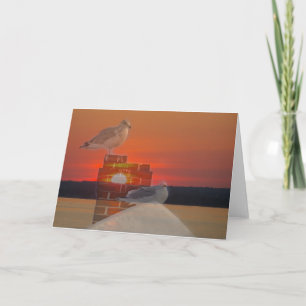 Seagull Sunset Card
