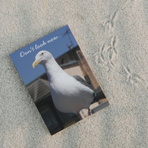 Seagull Surprise Funny Birthday Card