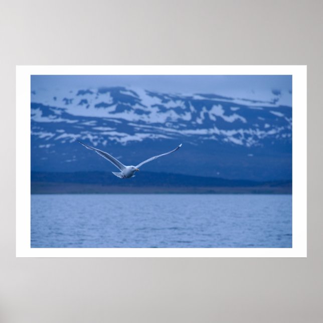 Seagull The Norwegian Flight To Freedom Poster (Front)