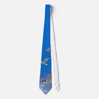 Seagull Tie