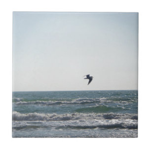Seagull Tile