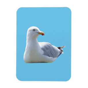 Seagull Vertical Flexible Photo Magnet