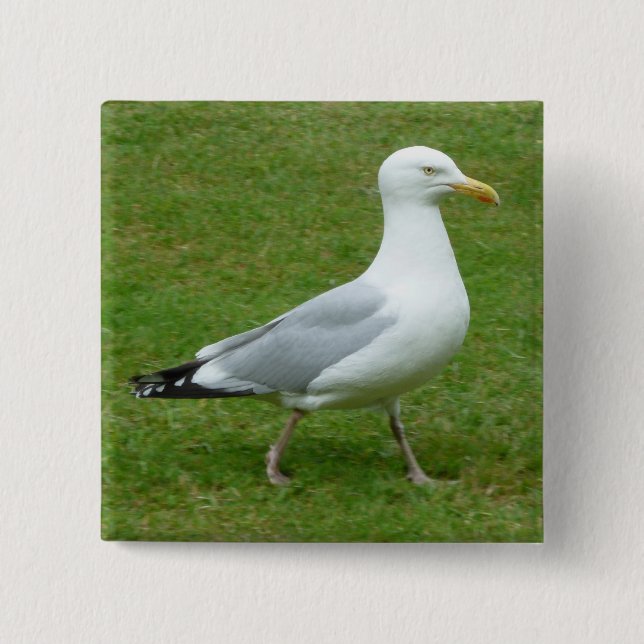 Seagull walking in the Park 15 Cm Square Badge (Front)