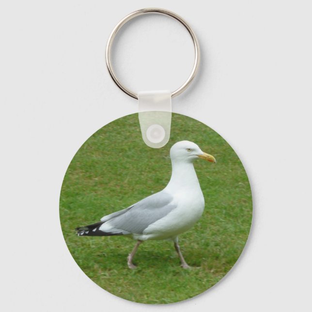 Seagull walking in the Park Key Ring (Front)