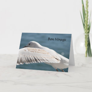 seagull wishes card