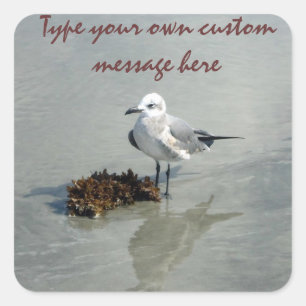 Seagull with Seaweed Custom Square Sticker