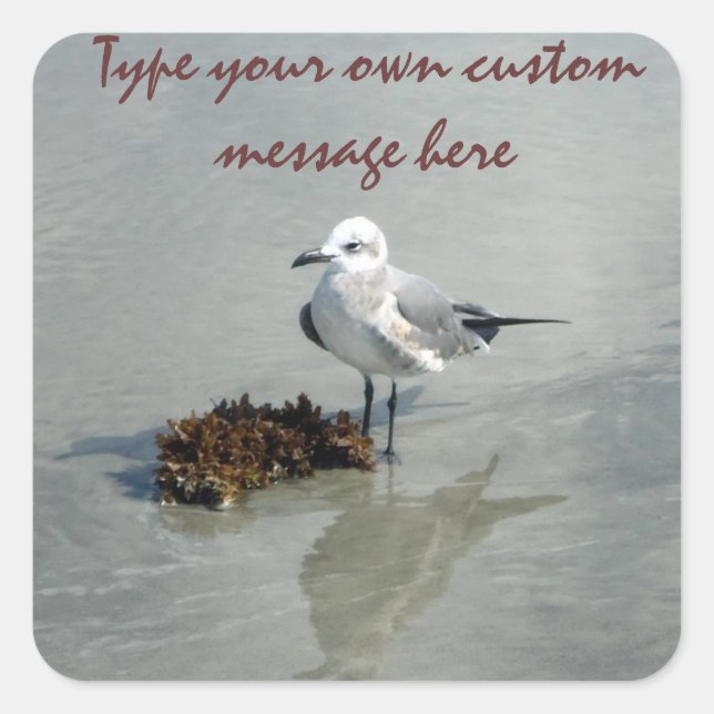 Seagull with Seaweed Custom Square Sticker (Front)