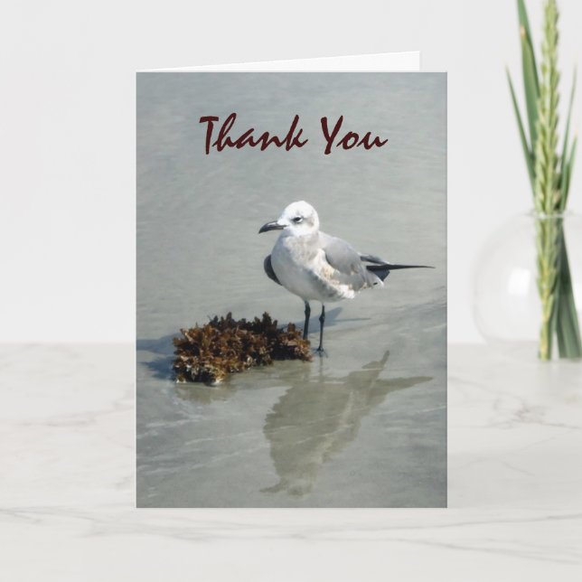 Seagull with Seaweed Custom Thank You Card (Front)