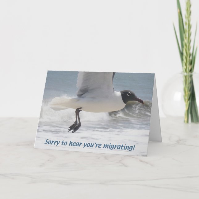 Seagull You're Moving Card (Front)