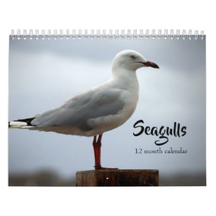 Seagulls 2027 calendar