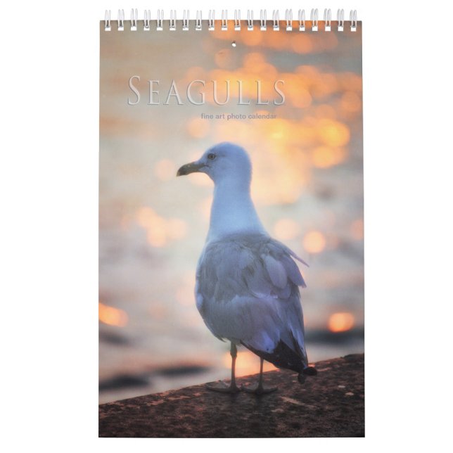 Seagulls and Beach Bird Landscape Photo Calendar (Cover)