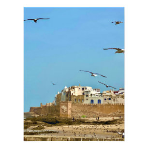 Seagulls and the City. - Essaouira, Morocco Photo Print