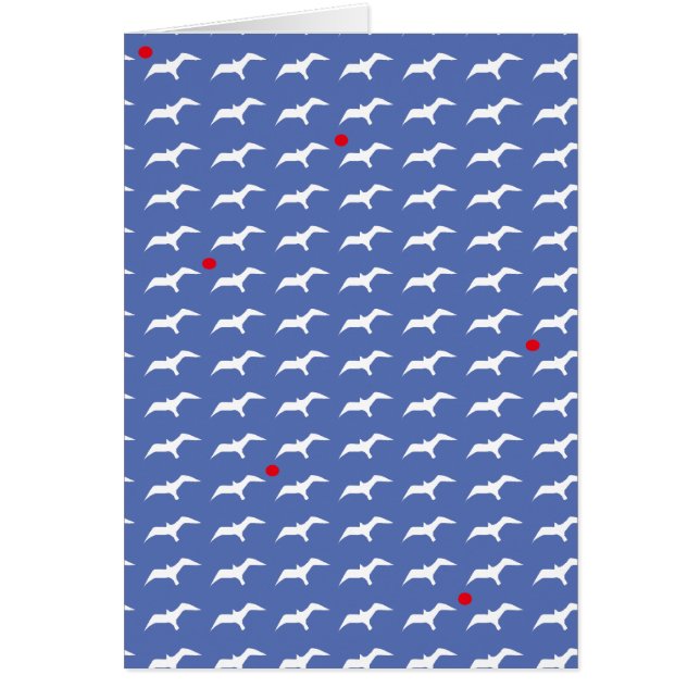 seagulls and the suns (Front)