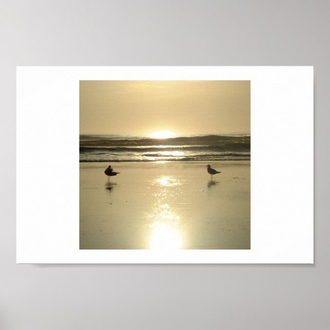 Seagulls at Daytona Poster (Front)
