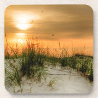 Seagulls at Sunrise