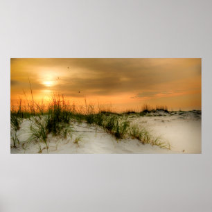 Seagulls at Sunrise Poster