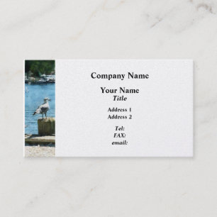 Seagulls at Tuckerton NJ - Platinum Business Card